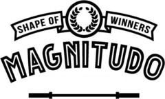 SHAPE OF WINNERS MAGNITUDO