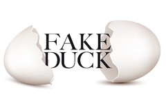 Fake Duck