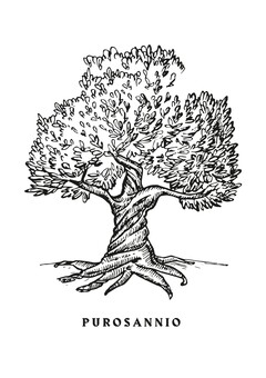 PUROSANNIO