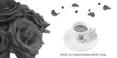 TOUTE LA PASSION DANS VOTRE TASSE