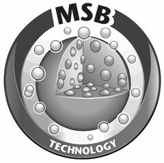 MSB TECHNOLOGY