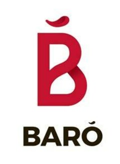 B BARO