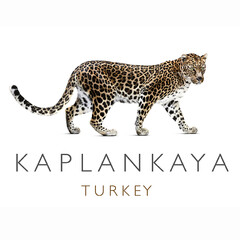 KAPLANKAYA TURKEY