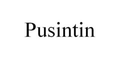 Pusintin