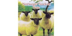 Norweger socken Wolle