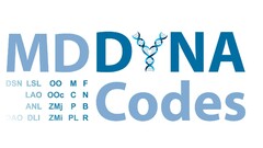 MD DYNA Codes