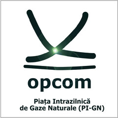 opcom Piața  Intrazilnică de Gaze Naturale (PI-GN)