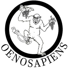 OENOSAPIENS