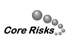 Core Risks