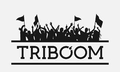 triboom