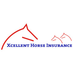 xcellent horse insurance