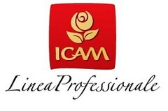 ICAM LINEA PROFESSIONALE