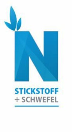 N STICKSTOFF + SCHWEFEL