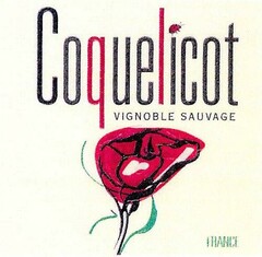 Coquelicot VIGNOBLE SAUVAGE FRANCE