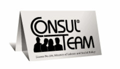 CONSUL TEAM