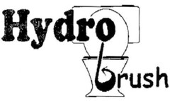 Hydro brush