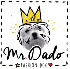 Mr.Dado Fashion Dog