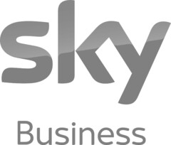 sky Business