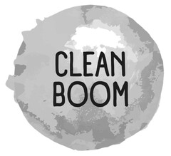 CLEAN BOOM