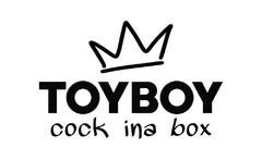TOY BOY cock ina box