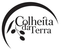 COLHEITA DA TERRA