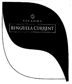SAVANHA BENGUELA CURRENT