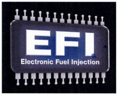 EFI Electronic Fuel Injection