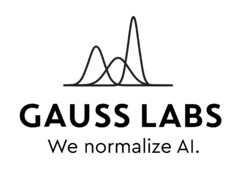 GAUSS LABS We normalize Al.