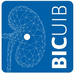 BICUIB