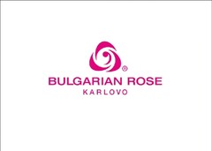 Bulgarian rose Karlovo