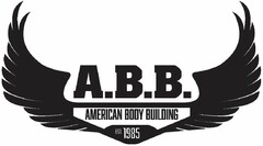 A.B.B. AMERICAN BODY BUILDING