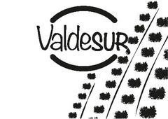 Valdesur