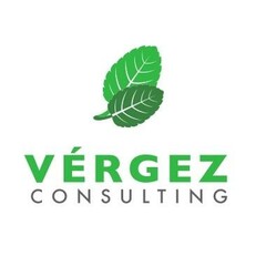 VÉRGEZ CONSULTING