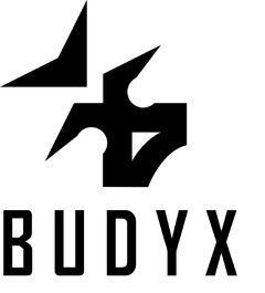 BUDYX