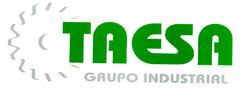 TAESA GRUPO INDUSTRIAL