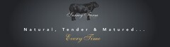 Surrey Farm Premium Beef Natural, Tender & Matured... Every time