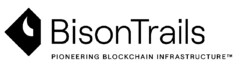 BISONTRAILS PIONEERING BLOCKCHAIN INFRASTRUCTURE