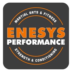 ENESYS PERFORMANCE