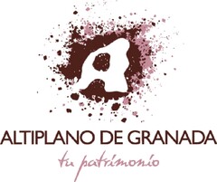 ALTIPLANO DE GRANADA
TU PATRIMONIO