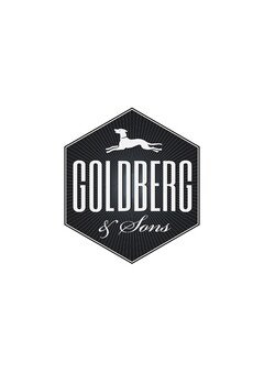 GOLDBERG & SONS