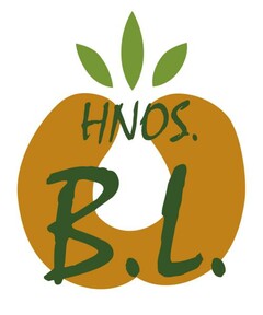 HNDS B.L.