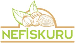 NEFİSKURU