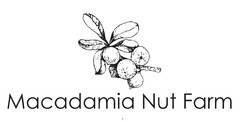 Macadamia Nut Farm