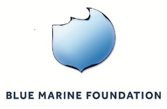 BLUE MARINE FOUNDATION