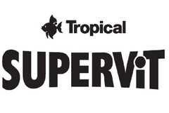 TROPICAL SUPERViT
