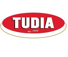 TUDIA din 1999