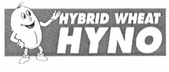 HYBRID WHEAT HYNO