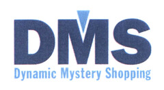 DMS Dynamic Mystery Shopping