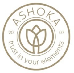 ASHOKA 20 07 trust in your elements
