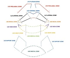 LPZ PROLABIAL ZONE LLZ LATERAL ZONE LBZ BASAL ZONE LSZ SIGN ZONE LDZ DROP ZONE LSZ SUPPORT ZONE LFZ FILTRUM ZONE LCZ CENTRAL ZONE LMZ MEDIAL ZONE LMZ MENTAL ZONE LPZ PROLABIAL ZONE LLZ LATERAL ZONE LBZ BASAL ZONE LSZ SIGN ZONE LDZ DROP ZONE LSZ SUPPORT ZONE